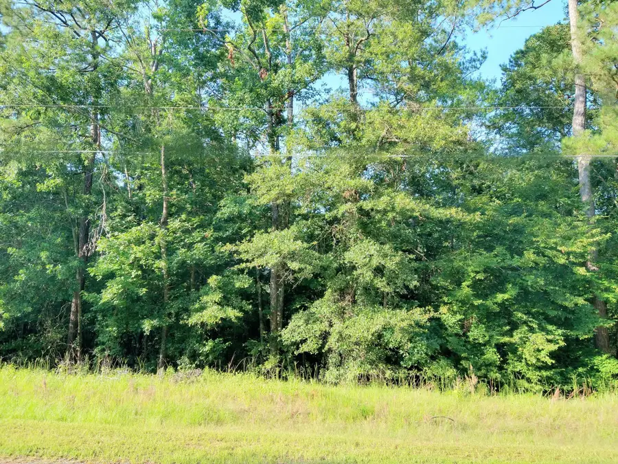 230 Crestridge Drive, Waynesboro, GA 30830 - Image #2