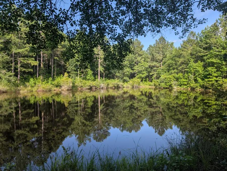 3095 Marshall Road, Appling, GA 30802 - Image #3