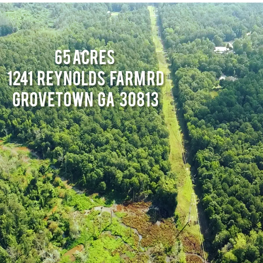 1241 Reynolds Farm Road, Grovetown, GA 30813 - Image #2