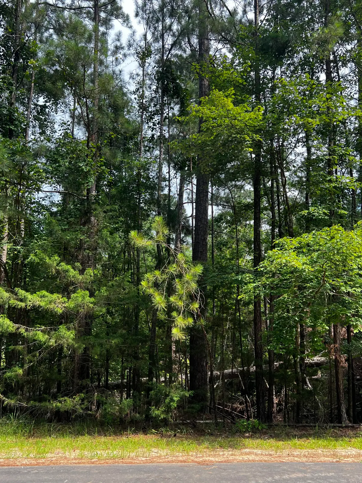 L5 B17 Creekside Cove, McCormick, SC 29835 - Image #1