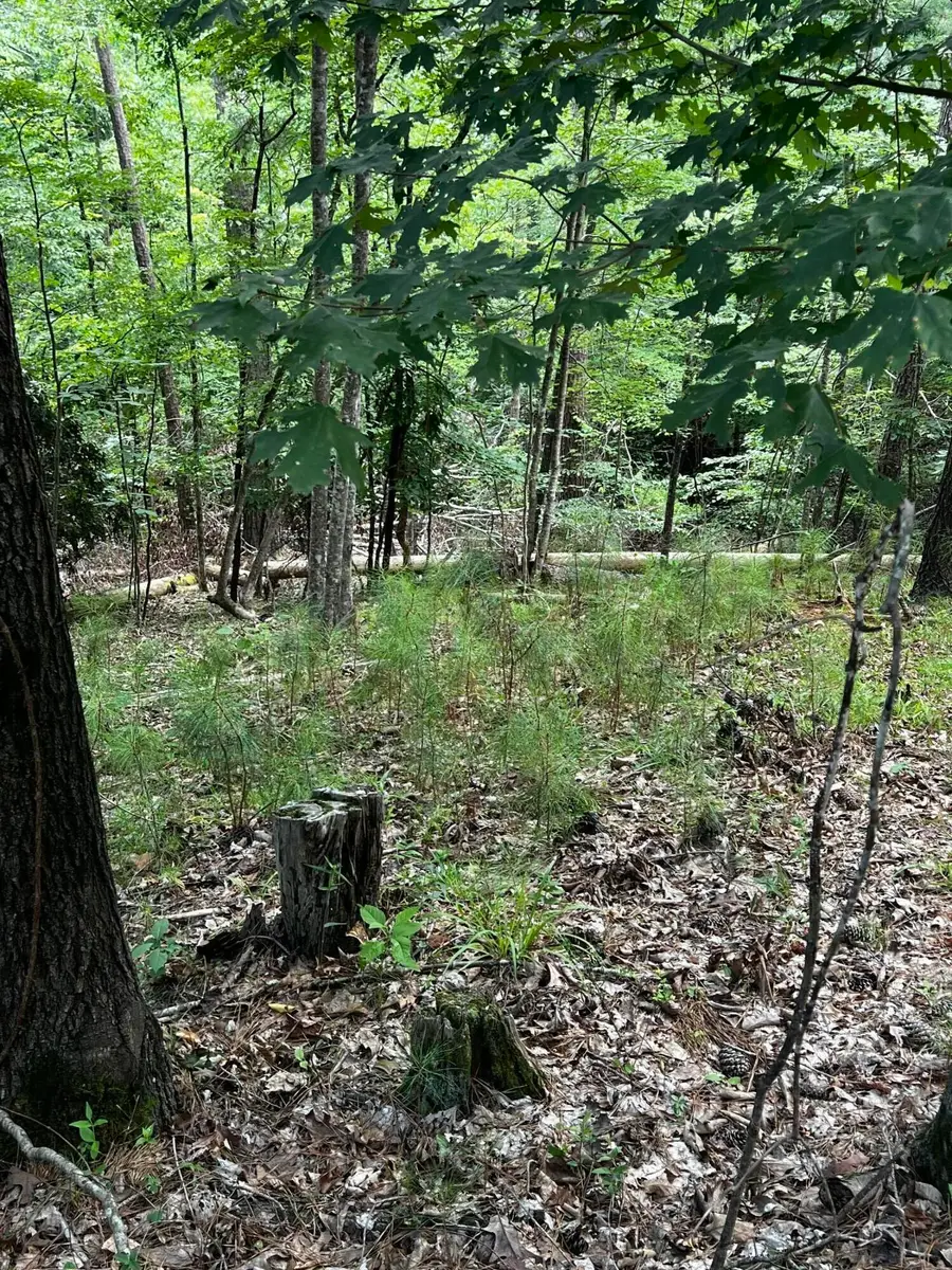 L5 B17 Creekside Cove, McCormick, SC 29835 - Image #3