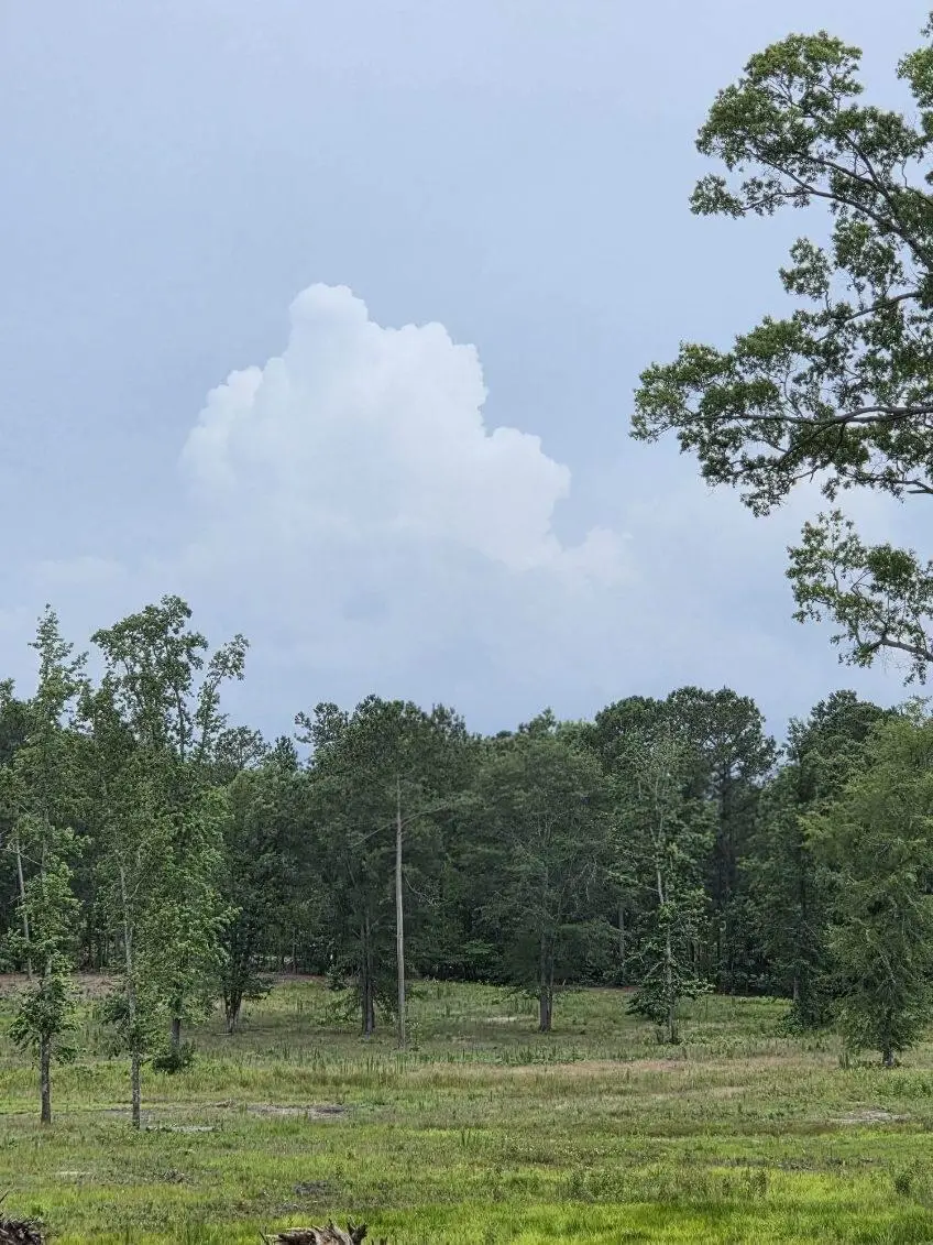 365 Shagbark Way, Harlem, GA 30814 - Image #1