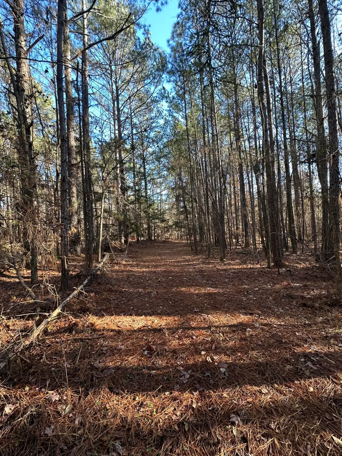 Lot 4 Saggus Road, Washington, GA 30673 - Image #1