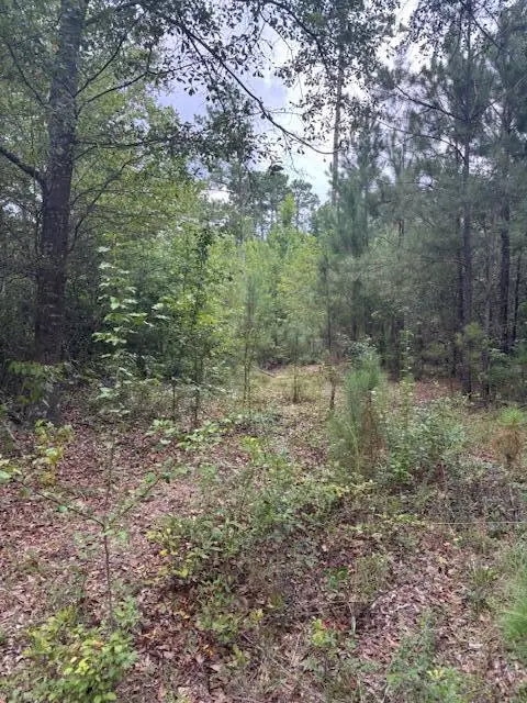 1912 Pine Hollow Drive, Augusta, GA 30906 - Image #3