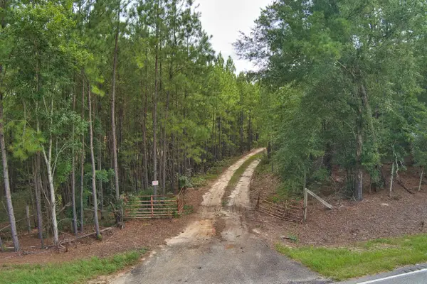 64.7 Acres Salley Road, Salley, SC 29137