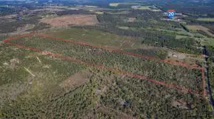 198 Migrant Camp Road, Batesburg-Leesville, SC 29006