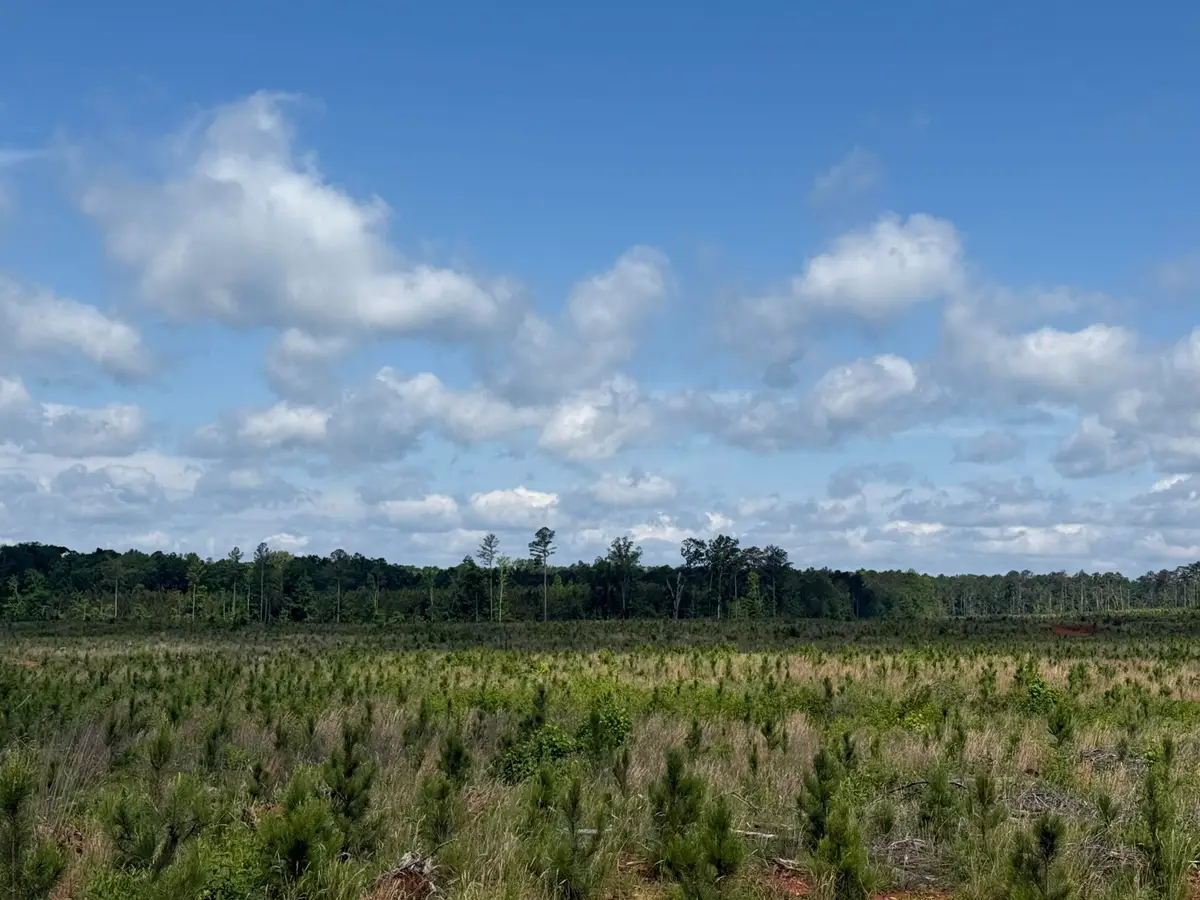 300 Hwy 378, Edgefield, SC 29824 - Image #1