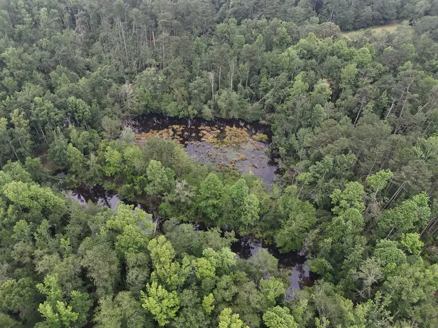 4717 Fulcher Road, Hephzibah, GA 30815 - Image #2