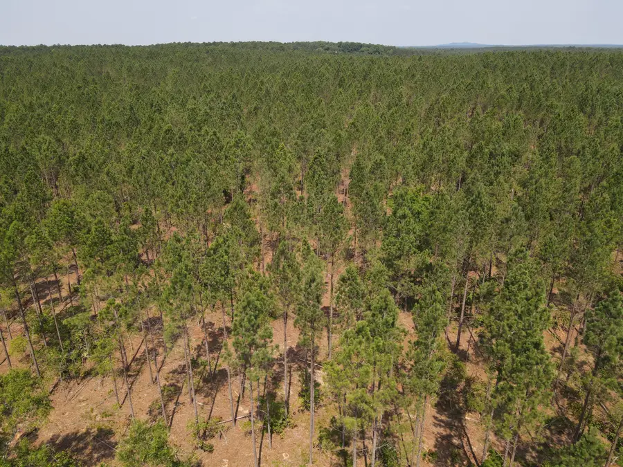 0 Aramathea Church Road, Lincolnton, GA 30817 - Image #2