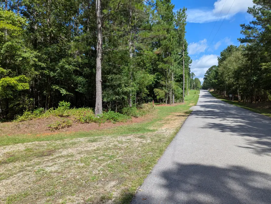 00 Wilkie Road, Plum Branch, SC 29845 - Image #3