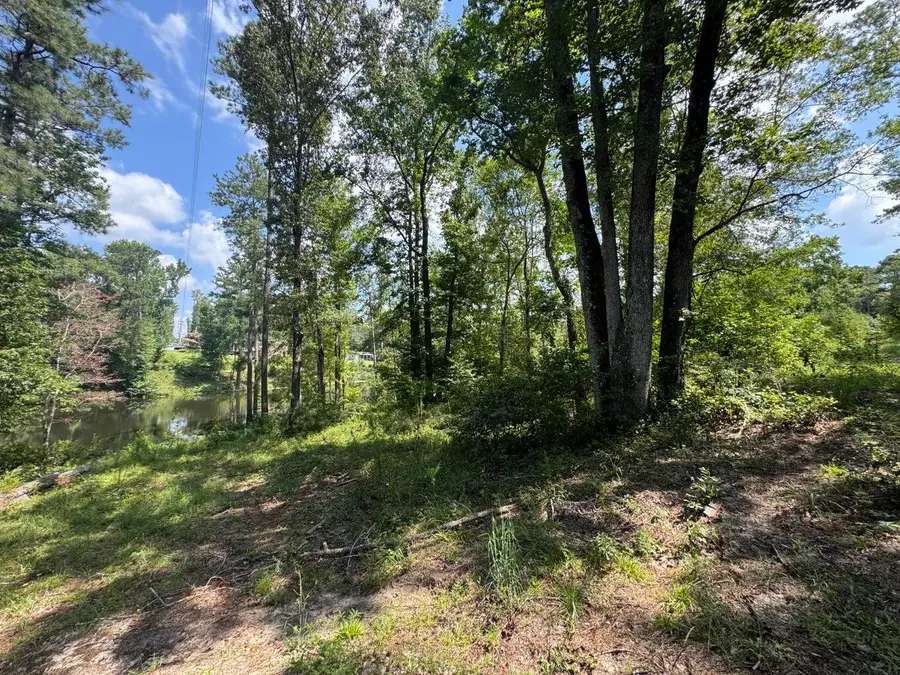 0 Hummingbird Drive, Trenton, SC 29847 - Image #2