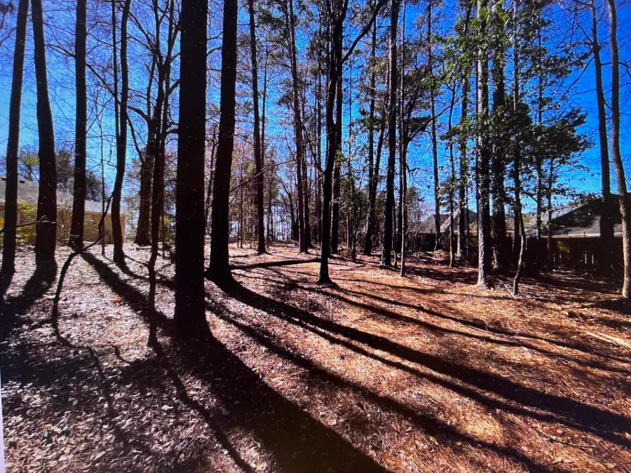 0 Osprey Lane, Martinez, GA 30907 - #3