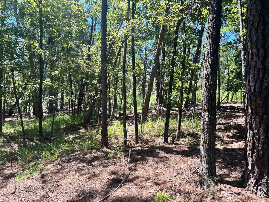 1109 Castle Road, Grovetown, GA 30813 - Image #2