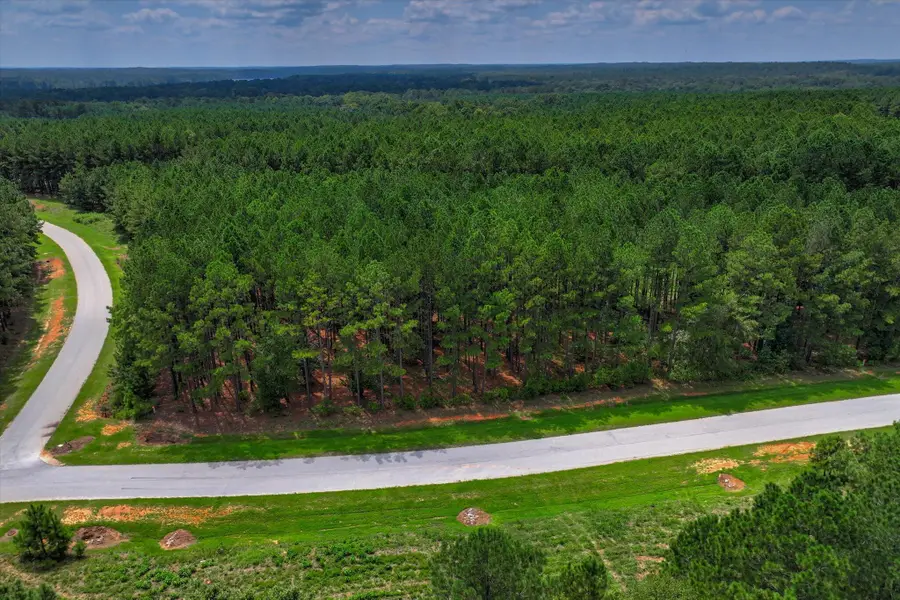 1046 Eagles Nest Trail, Tignall, GA 30668 - Image #2