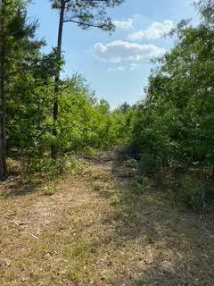 00 Ann's Way Way, Waynesboro, GA 30830 - Image #3