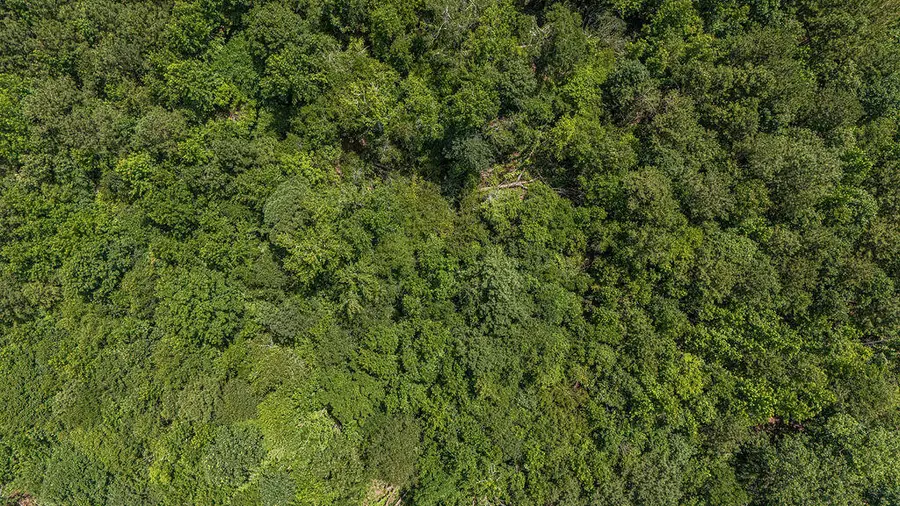 Tbd Burton Drive, Edgefield, SC 29824 - Image #2