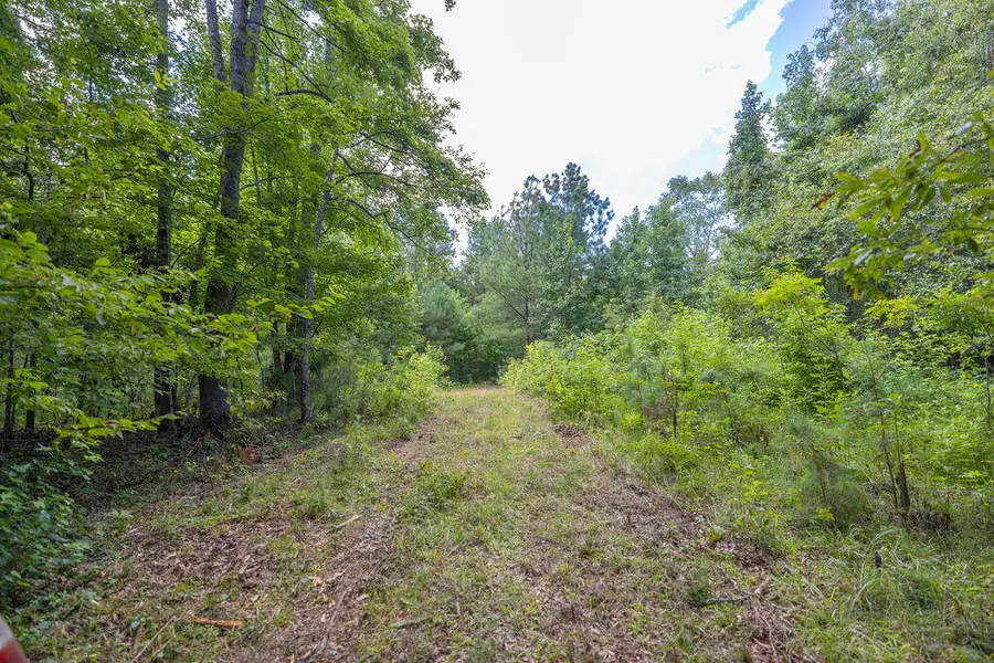 Tbd Burton Drive, Edgefield, SC 29824 - Image #3
