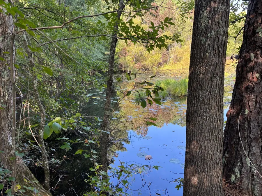 1460 Whitetown Road, McCormick, SC 29835 - Image #3