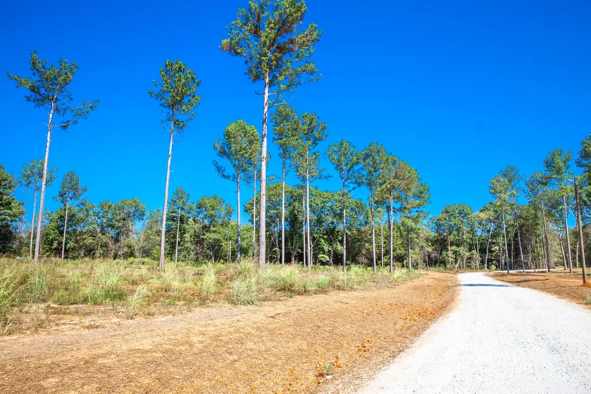 510 Rabbit Pen Drive, Appling, GA 30802 - Image #1