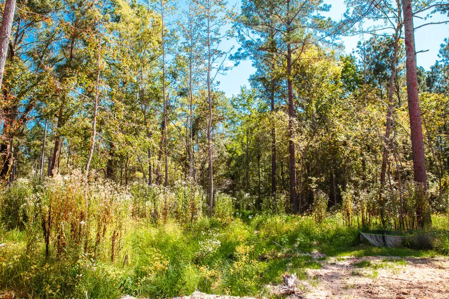 575 Rabbit Pen Drive, Appling, GA 30802 - Image #2