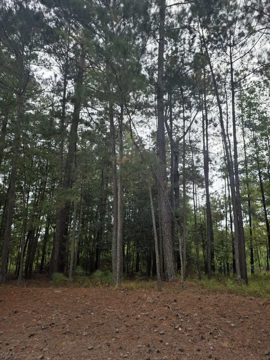 5219 Riverwood Parkway, Evans, GA 30809 - Image #2