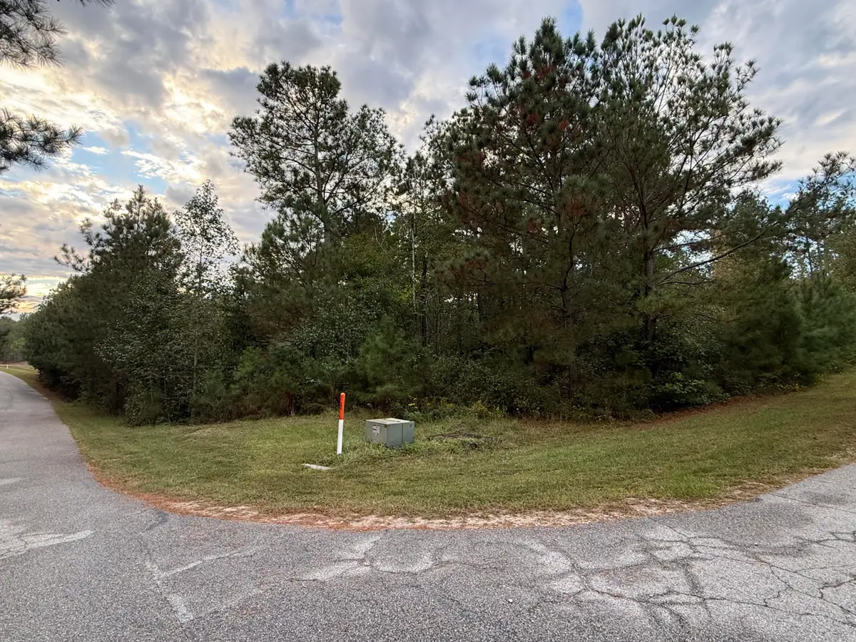 13 Pindo Pass, North Augusta, SC 29860 - Image #1