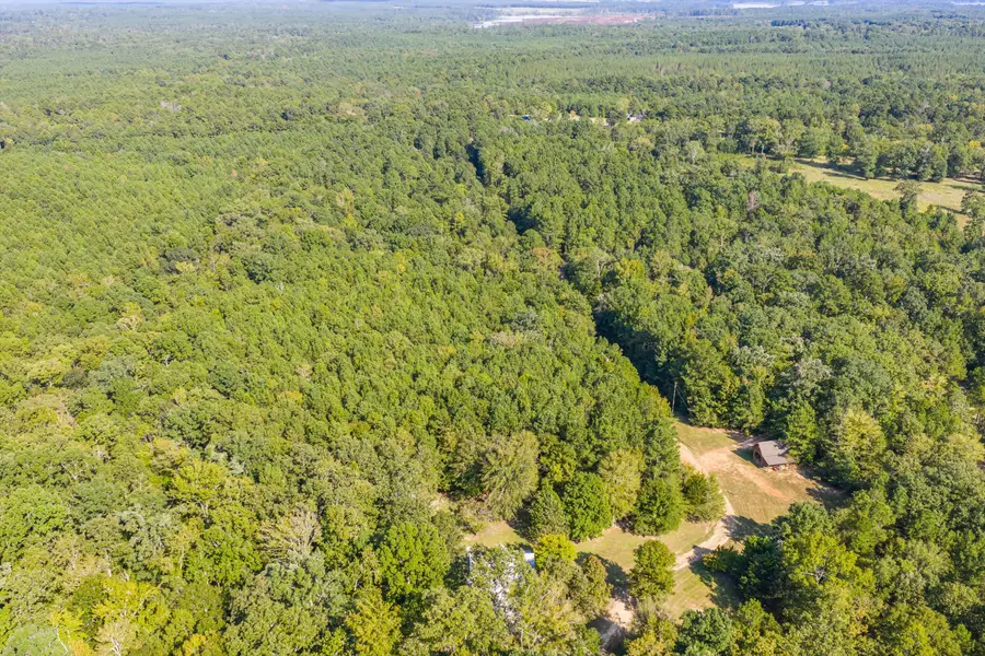 4423 Thomson Highway, Lincolnton, GA 30817 - Image #3