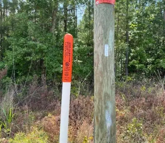 1.90 Old Edgefield Road, Ninety Six, SC 29666 - Image #3