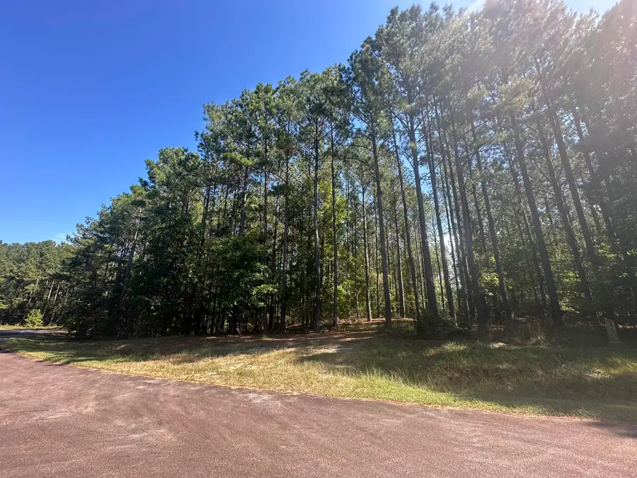 Lot 32 Petersburg Trace, Lincolnton, GA 30817 - Image #3