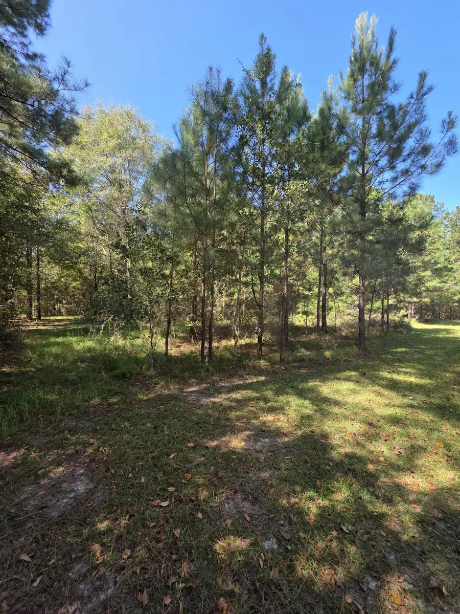 0 Beaver Dam Road, Perkins, GA 30822 - Image #3