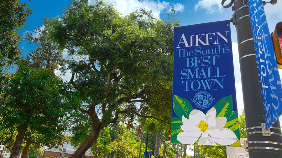 4031 Shy Boy Cove, Aiken, SC 29803 - #3