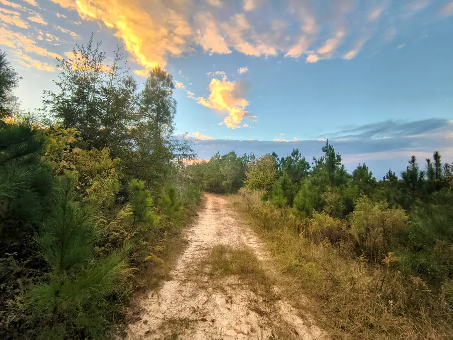 2427 B Wire Road, Aiken, SC 29805 - #3