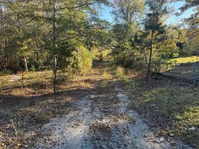 0 Mitchner Road, Dearing, GA 30808 - #3