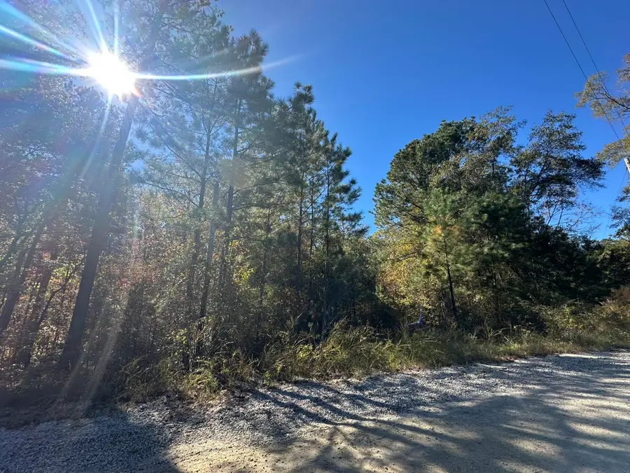 Lot 27&28 Lakeshore Estates Drive, Lincolnton, GA 30817 - Image #2