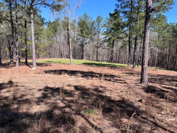 2296 Williams Road Road, Thomson, GA 30824