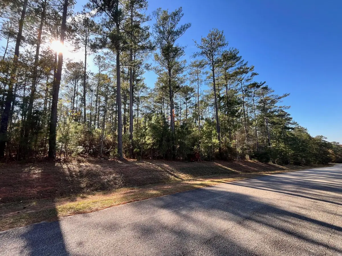 302 Georgeville Lane, Appling, GA 30802 - Image #1