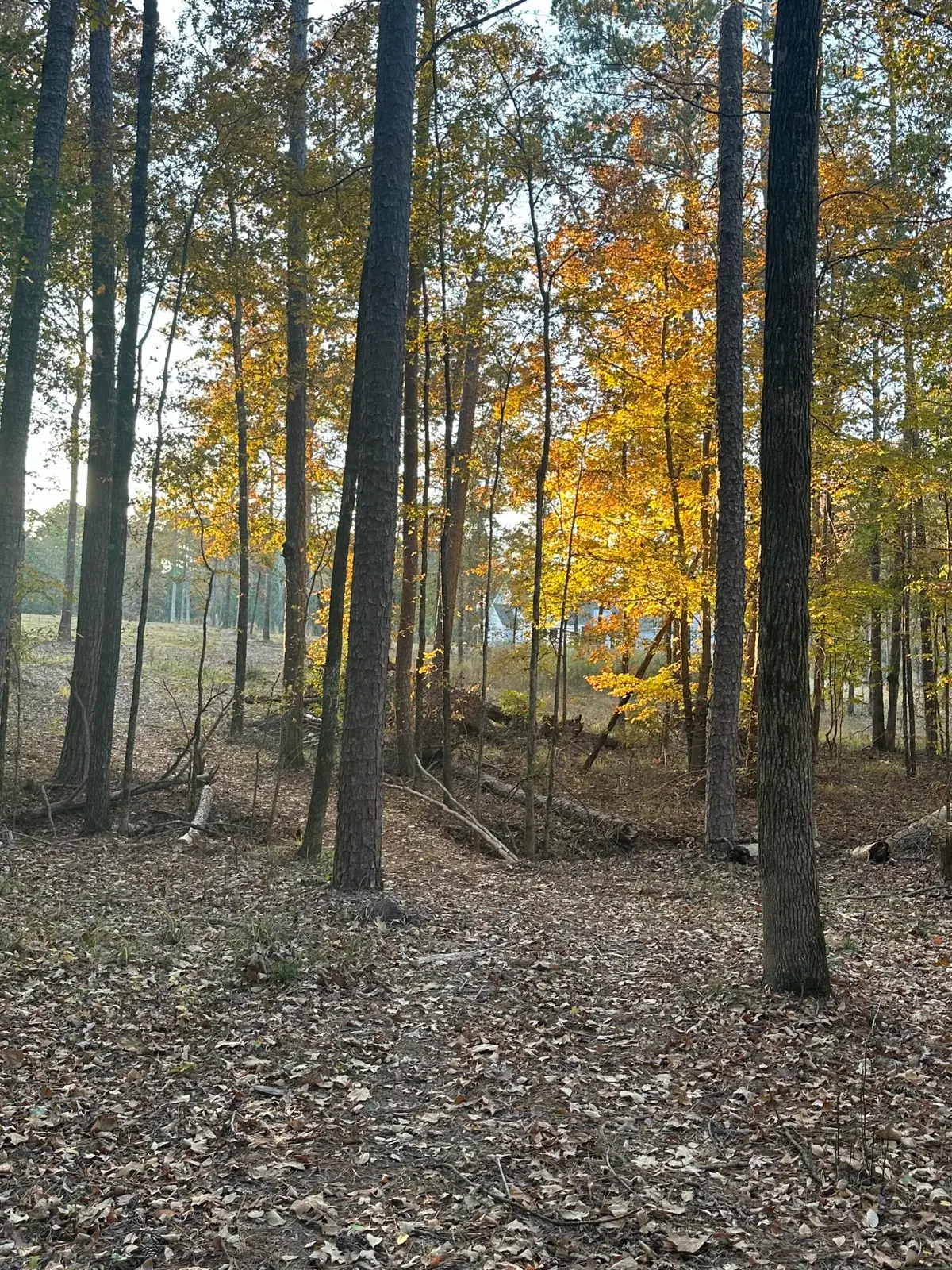 9-3 Long Cove, Lincolnton, GA 30817 - Image #1