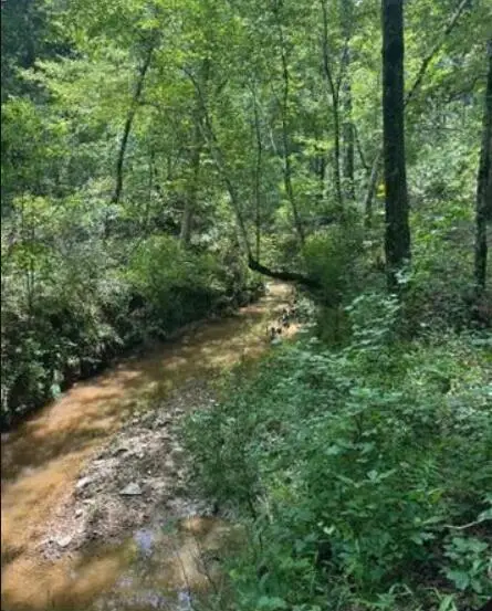 N Old Edgefield Road, Ninety Six, SC 29666 - Image #2