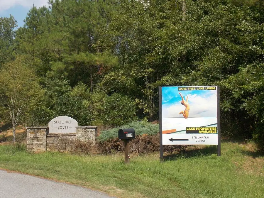 1103 Winding Ridge Drive, Tignall, GA 30668 - Image #3