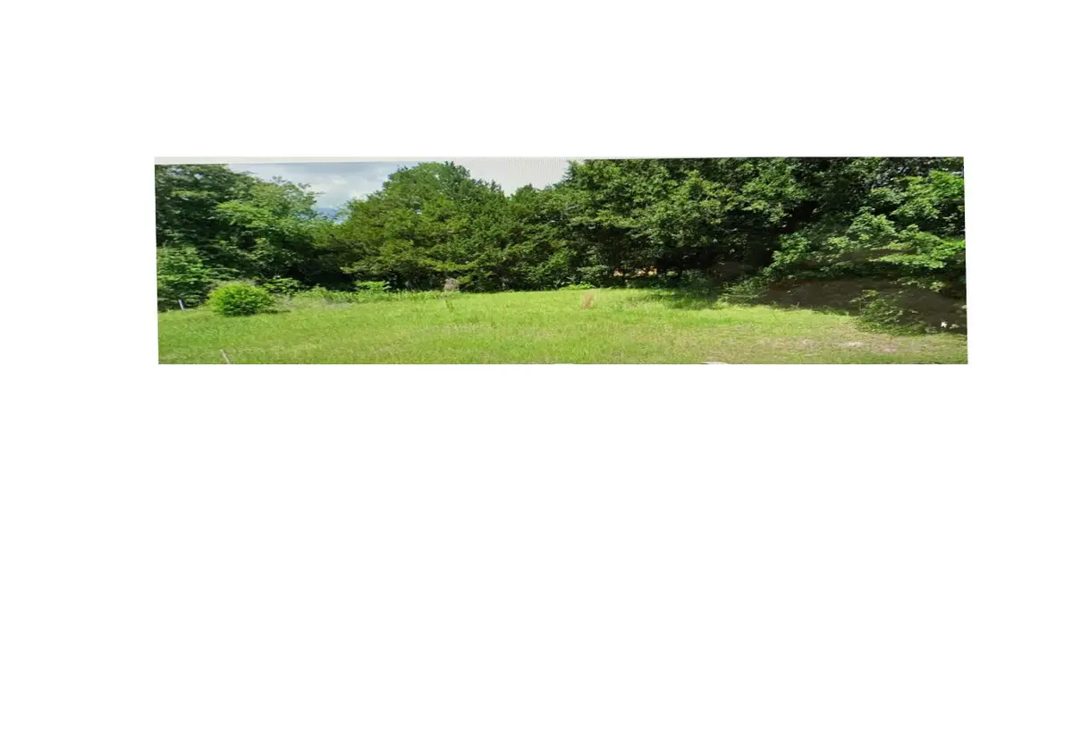 717 Dowell Avenue, Waynesboro, GA 30830 - Image #1