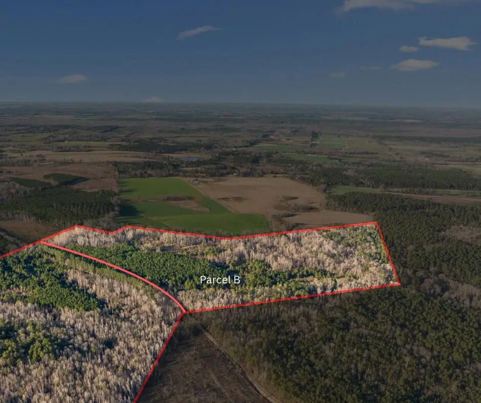 0 Thomas Road, Millen, GA 30442 - Image #1