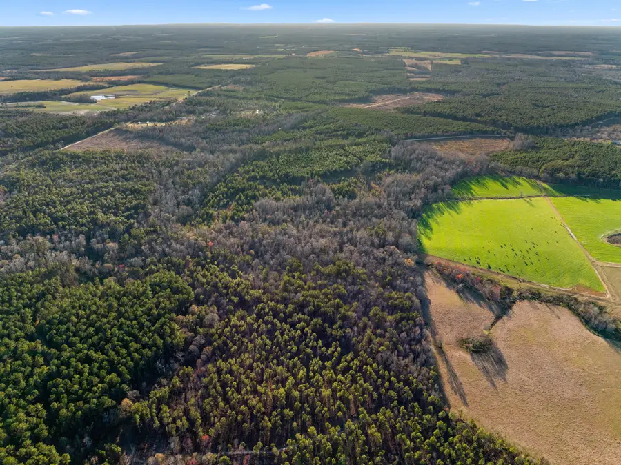 0 Thomas Road, Millen, GA 30442 - Image #2