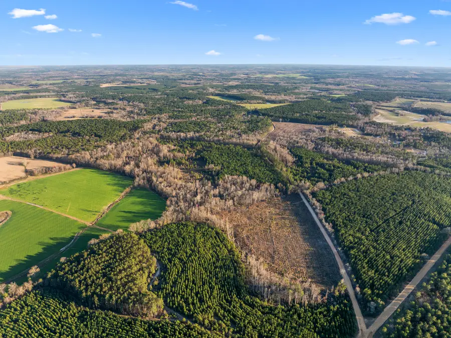 0 Thomas Road, Millen, GA 30442 - Image #3