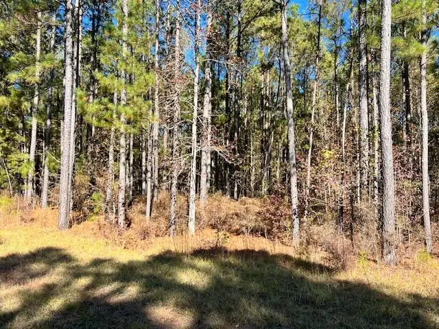 0 Mariners Way, Lincolnton, GA 30817 - Image #2