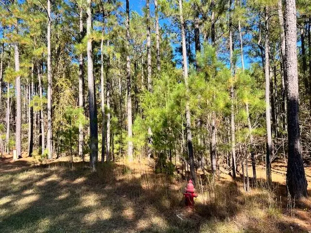 0 Mariners Way, Lincolnton, GA 30817 - Image #2