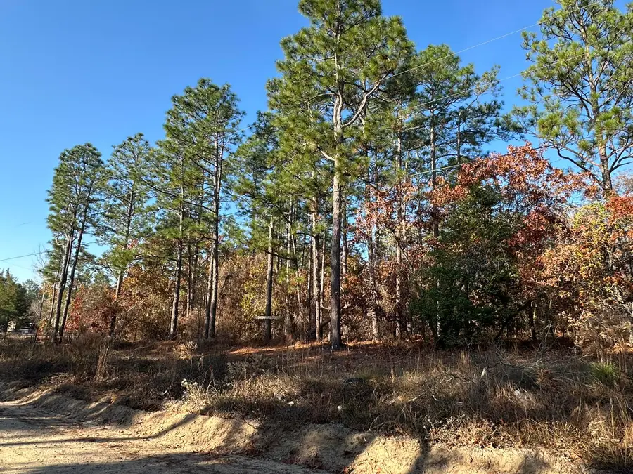 3054 Camp Josey Road, Blythe, GA 30805 - Image #3