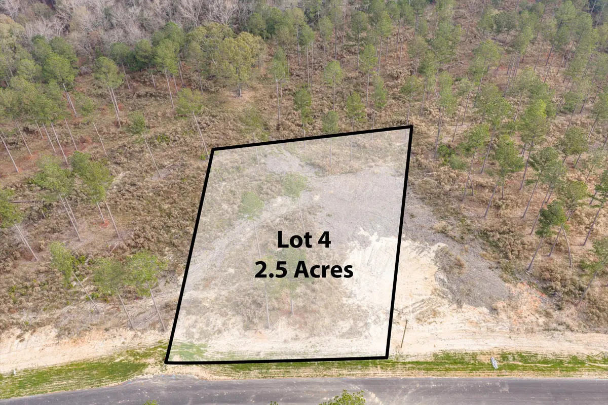 135 Beagle Chase Drive, Appling, GA 30802 - Image #1