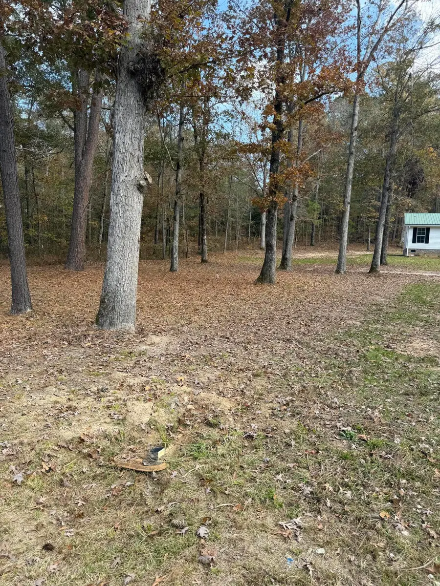 4946 Adams Chapel Road, Dearing, GA 30808 - Image #3