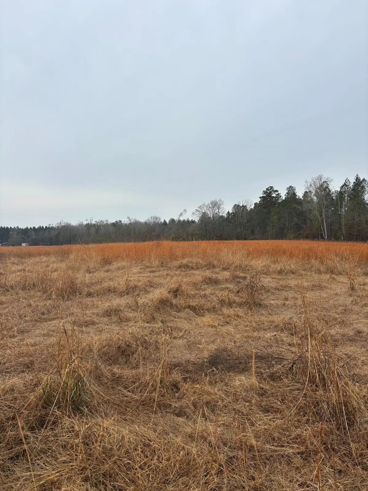 3959 Cadley Road, Norwood, GA 30821 - Image #1