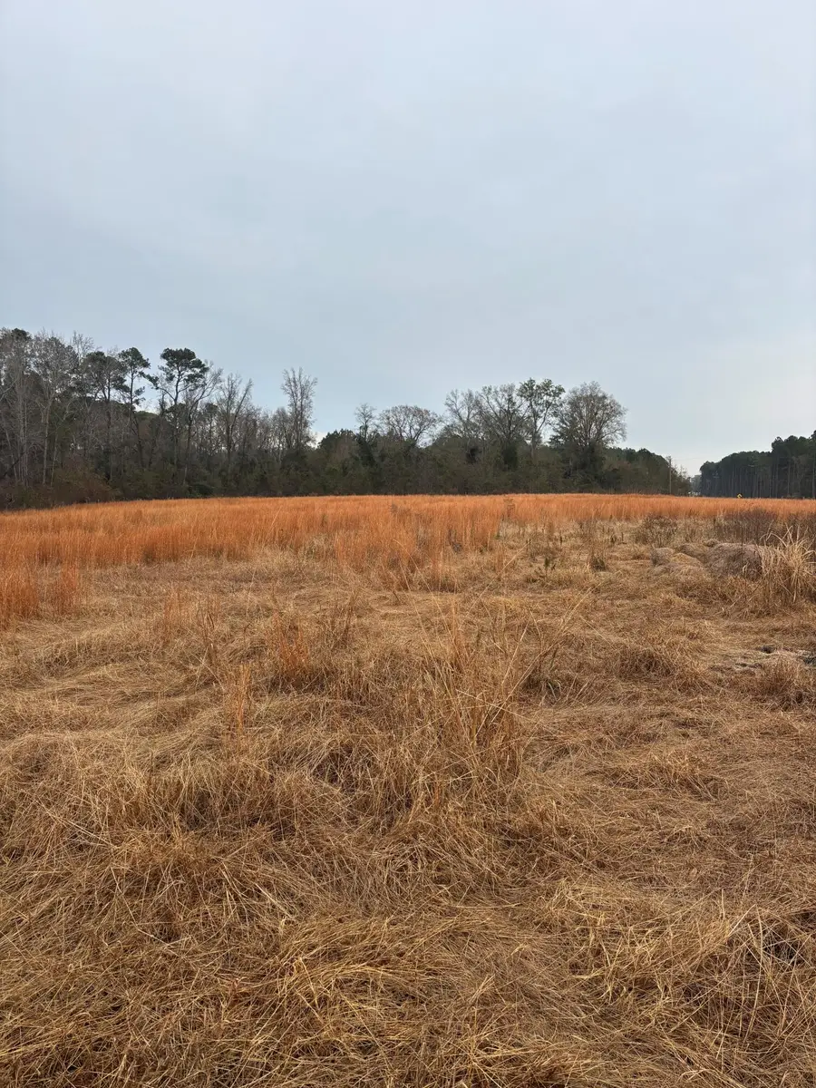 3959 Cadley Road, Norwood, GA 30821 - Image #2